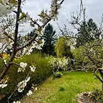 Haus Am Mit Badestelle * Schwielowsee