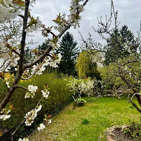 Haus Am Mit Badestelle * Schwielowsee